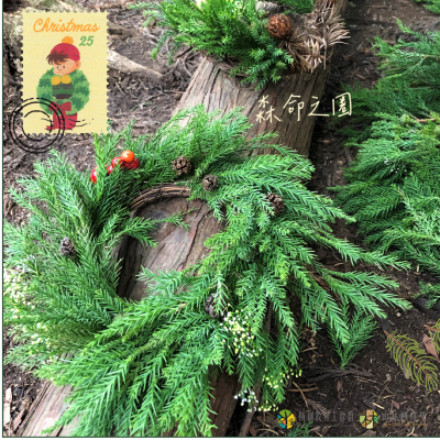 讓獨一無二的耶誕花圈充滿臺灣森林的氣味和回憶（林業保育署新竹分署提供）
