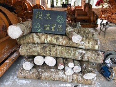 段木香菇栽培課程-段木堆置區(資料照片)