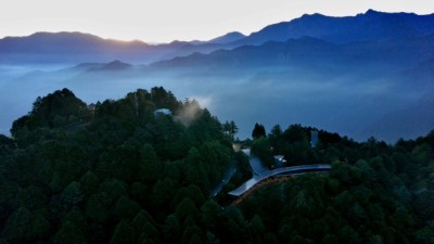 阿里山國家森林遊樂區新地標(吳明翰拍攝/林鐵及文資處提供)