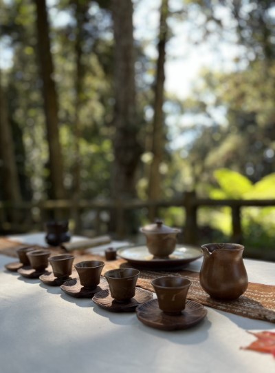 臺灣山茶風味微型成果發表8