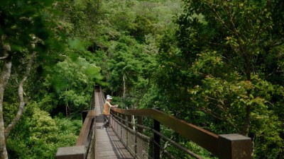 橋畔之絆-緬懷過去工作回憶