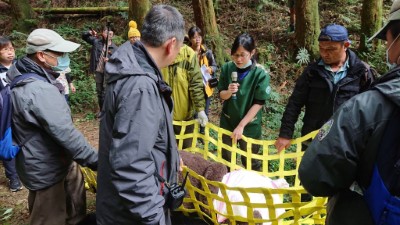 獸醫提醒使用搬運網運送臺灣黑熊時應注意兩側平衡