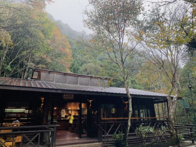 秋色中森林小舖(林業保育署新竹分署提供)