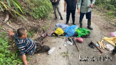 林業保育署花蓮分署及保七總隊查緝非法，查獲盜採牛樟芝及金線蓮犯嫌3人。