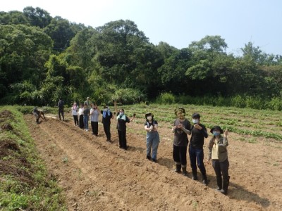 圖6-1.「田鱉田」移除小花蔓澤蘭等外來種植後，也響應稀有植物異地備份任務。(攝影田鱉田)