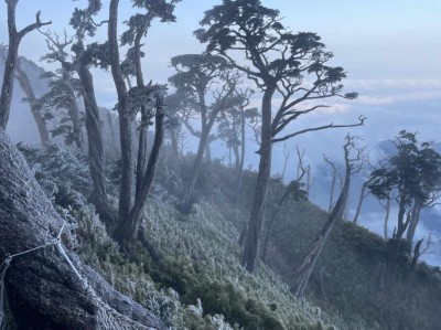 北大武山霧淞美景5