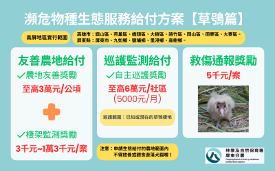 113年草鴞生態服務給付方案圖卡(高屏)