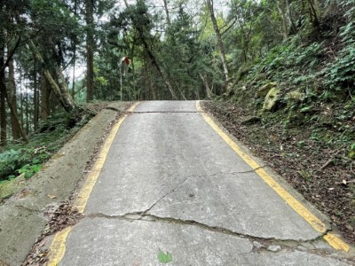 大坪林道4K+000路面龜裂情形(林業保育署新竹分署提供)