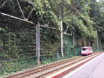 烏來台車辦理軌道旁防落石網修繕工程(林業保育署新竹分署提供)