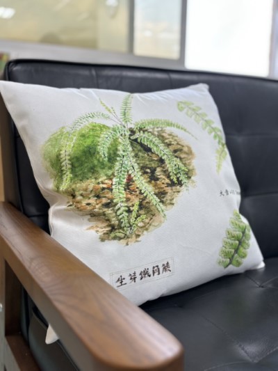 大雪山國家森林遊樂區獨賣款蕨類抱枕