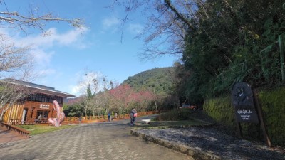 拉拉山國家森林遊樂區「與森林共舞」作品（林業保育署新竹分署提供）