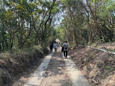 半屏山瞭望台道路2