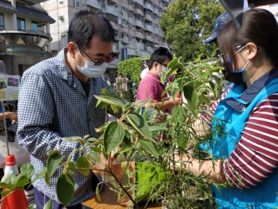112年屏東贈苗活動