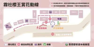 觀霧國家森林遊樂區的「霧社賞花動線」（林業保育署新竹分署提供）