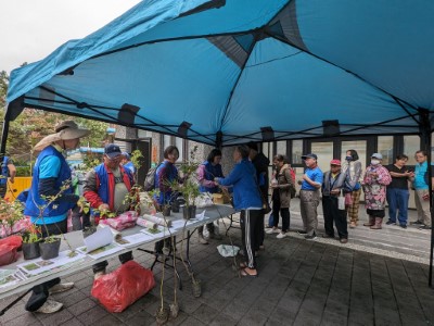林業及自然保育署花蓮分署6日在新城鄉康樂村活動中心舉辧贈苗及植樹活動，吸引近百人參加。
