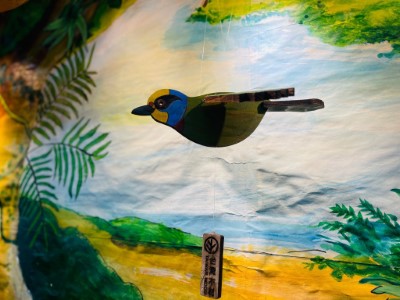 「愛唱歌的五色鳥」親子活動，3月8日起開始報名。