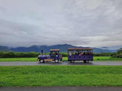 白天來大農大富平地森林園區搭乘小火車享受森林浴