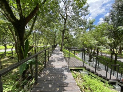 萬里溪堤防架設木棧道俯瞰園區