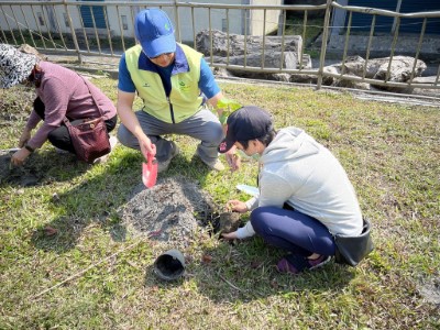 現場教學及操作植樹方法與技巧