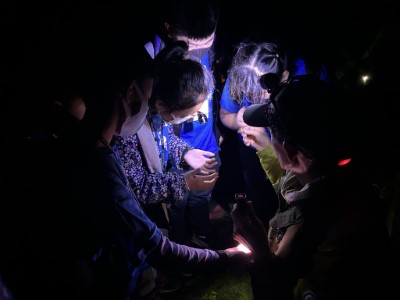 森林夜遊生態觀察(東眼山自然教育中心提供)