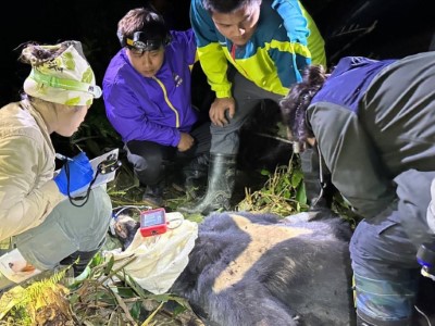現場緊急醫療處置，永康棲地巡守隊隊員全程在場協助