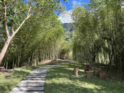 花蓮展區竹林步道