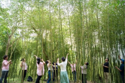 竹森活-聽竹_竹林步道
