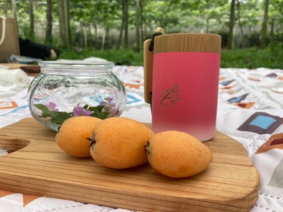 八仙山季節限定款櫻花盃是園區野餐的好夥伴
