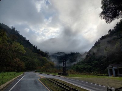八仙山林道