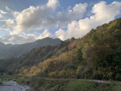 八仙山林道