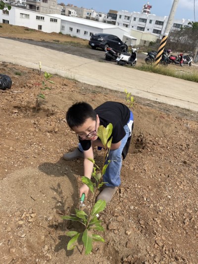 忘我植樹的小朋友