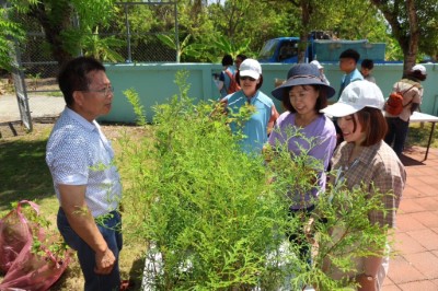 圖4贈苗活動-蘭嶼羅漢松、楓香、肖楠