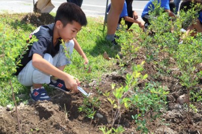 圖6植樹體驗2