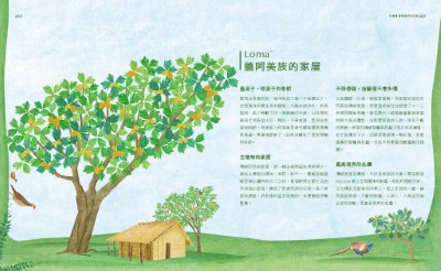 蓋阿美族的家屋