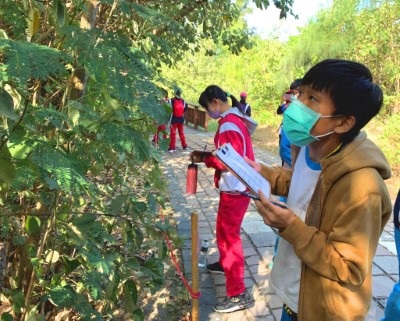 遊客進入濕地步道進行森林觀察