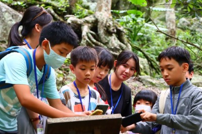 探索八仙山的林業故事