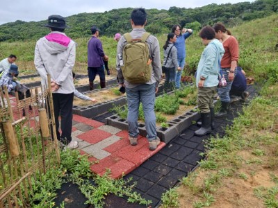 由林業試驗所集合龍門社區發展協會、狸和禾小穀倉、人禾基金會及林業保育署宜蘭分署協力進行濱海植物復育2