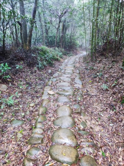 挑炭古道一景(火炎山生態教育館提供)