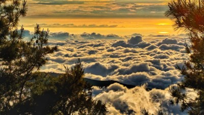 大雪山國家森林遊樂區雲海晚霞景色