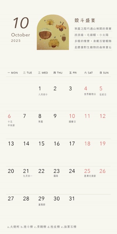 16.10月份桌曆「殼斗盛宴」(反面)