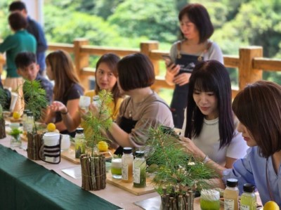 在松林下享用五葉松茶席，體驗五葉松植栽手作