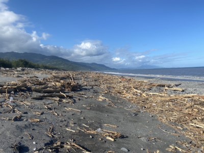 2506保安林(太麻里溪北岸)