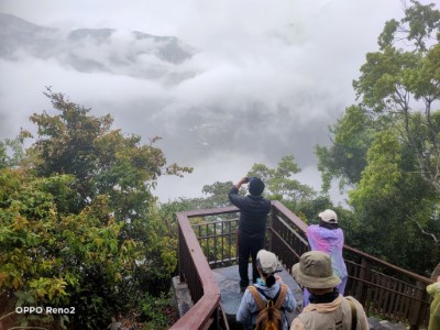 神山綠領解說員帶野外觀察
