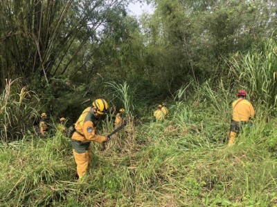 救火隊移除地面燃料防止火勢擴大
