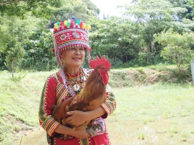 3.牡丹鄉林淑貞頭目帶頭飼養牡丹山林雞