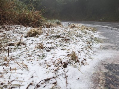 草地上出現積雪