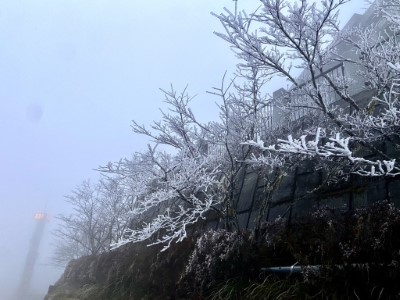 寒流來襲太平山降冰霰成夢幻雪白國度2