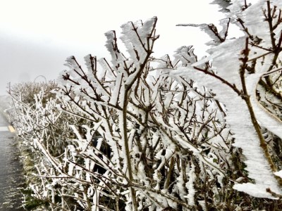 寒流來襲太平山降冰霰成夢幻雪白國度4