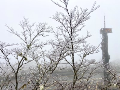 寒流來襲太平山降冰霰成夢幻雪白國度5