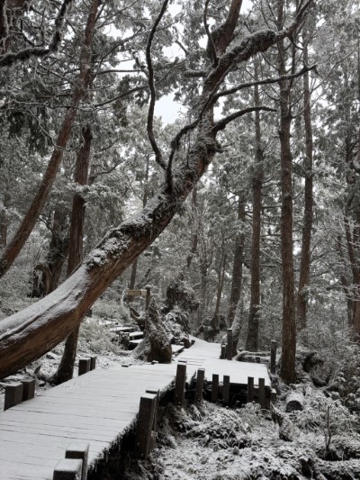 太平山冰雪世界美不勝收3